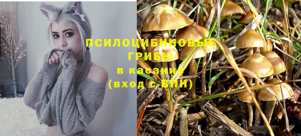 молекула духа Абинск