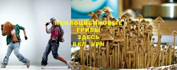 молекула духа Абинск